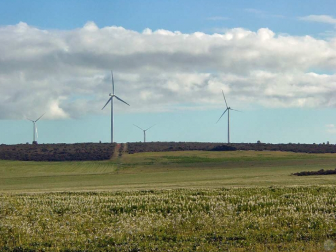Walkaway (Alinta) Wind Park, 89MW Western Australia